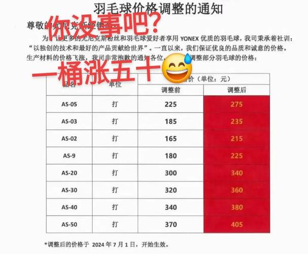 标题：羽毛球成为“贵族运动”，价格为何一涨再涨？